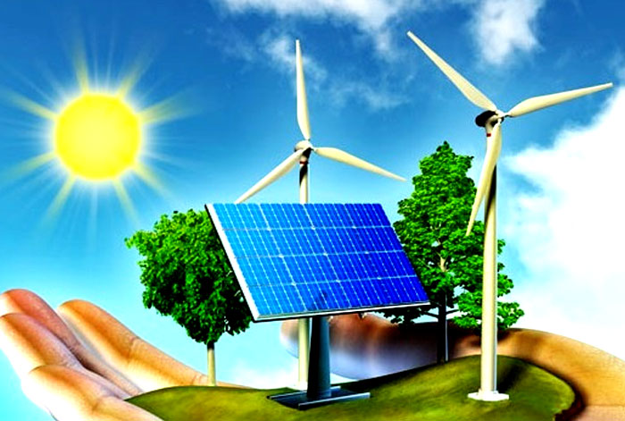 生物資源和替代能源資源標準
