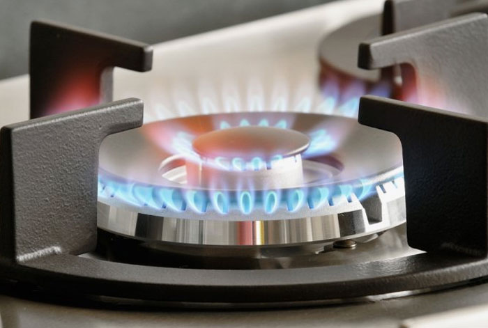 Appliance Gas Combustion Inspection