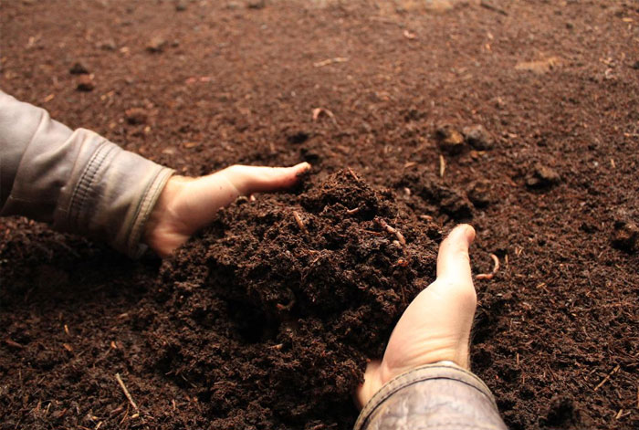 Standards für Landwirtschaft, Werkzeuge und Geräte für landwirtschaftliche Maschinen, Lagerung, Aufbereitung und Verteilung von Düngemitteln