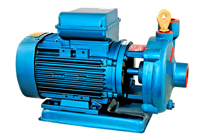 Pumps and Motors Standards