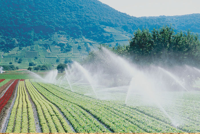 Agriculture, outils et équipement de machines agricoles, normes relatives aux équipements d'irrigation