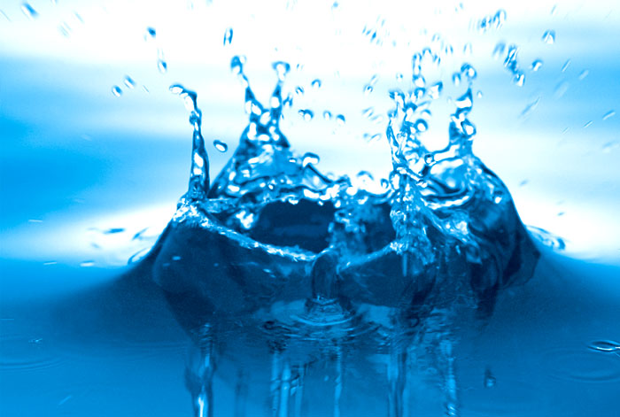 水質標準，水的生物學特性研究