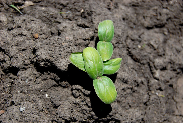 Hydrological Properties of Soil Standards