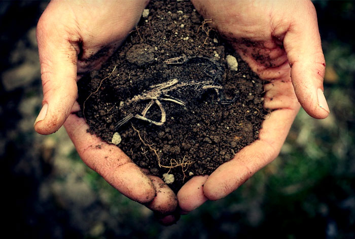 Soil Investigation (General) Standards