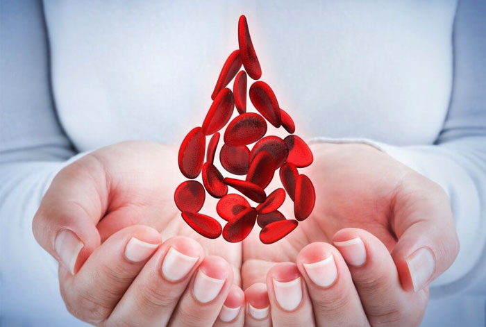 معدات نقل الدم والتسريب والحقن ، أكياس أكياس الدم