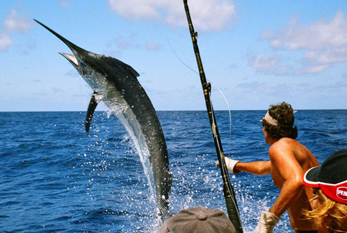 Certification des pêches et de l'aquaculture